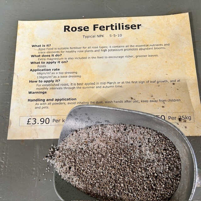 Rose Feed